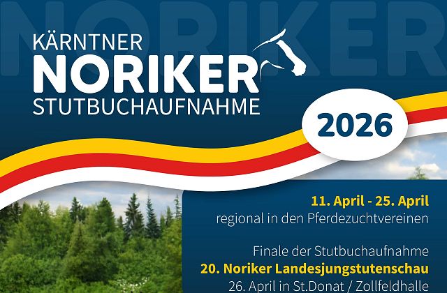Noriker Stutbuchaufnahmen 2026