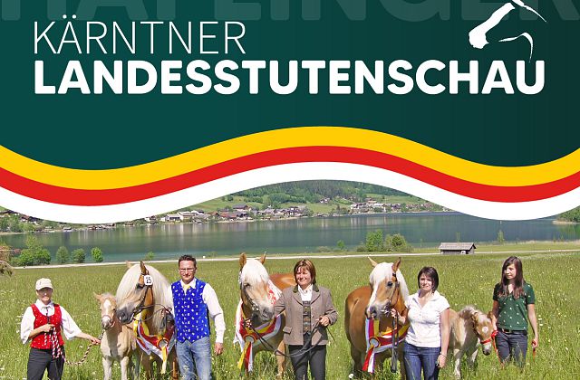 Kärntner Haflinger Landesstutenschau 2023