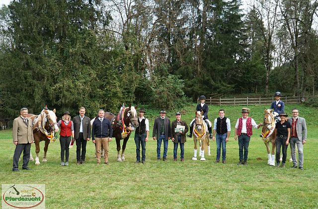 28. Kärntner Leistungsprüfung für Noriker und Haflinger