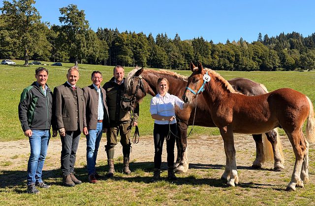 1. KÄRNTNER JUNGHENGSTETAG 2026
