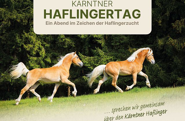 Kärntner Haflingertag 2026