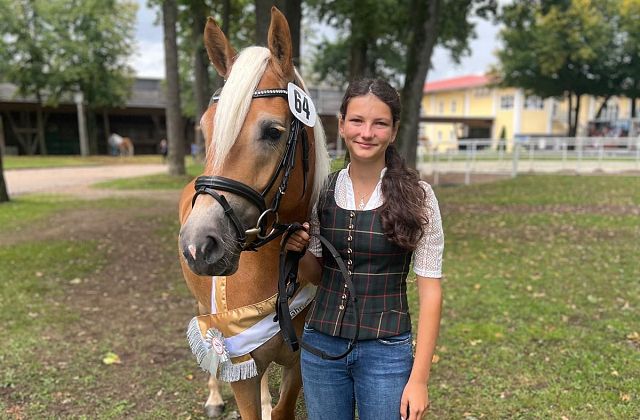 LIBERTY - Haflinger Zuchtpferd des Jahres 2025