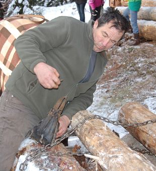 Noriker Veranstaltungen