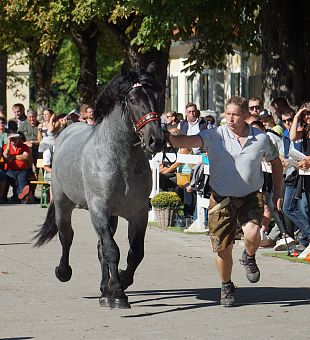 Schwarzenberg Vulkan XX