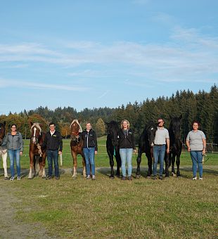 Hengstjährlingsmusterung 2022 am Aufzuchthof Ossiacher Tauern