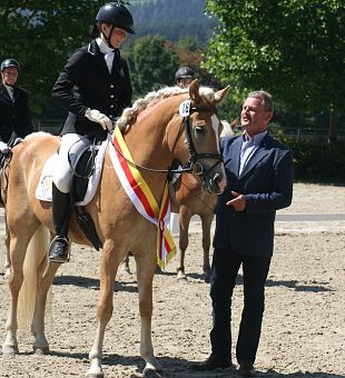 StPr Fenja - Haflinger Sportpferd des Jahres 2023