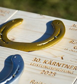 30. Kärntner Leistungsprüfung für Noriker & Haflinger