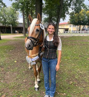 LIBERTY - Haflinger Zuchtpferd des Jahres 2025