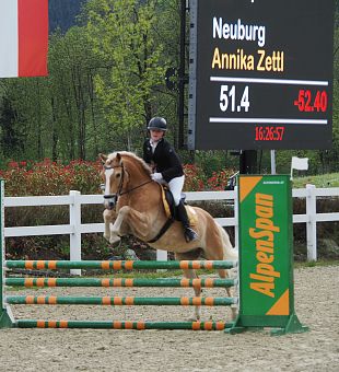 NEUBURG - Haflinger Sportpferd des Jahres 2025