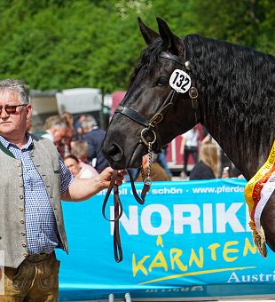 18. Noriker Landesjungstutenschau 2025