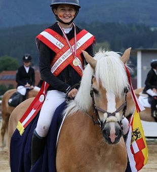 Santos - Haflinger Sportpferd des Jahres 2024