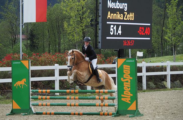 NEUBURG - Haflinger Sportpferd des Jahres 2025