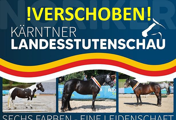 VERSCHOBEN! Kärntner Noriker Landesstutenschau 2023