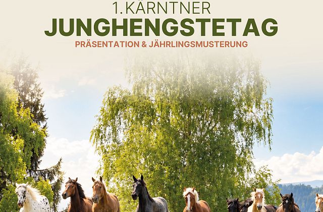 KÄRNTNER JUNGHENGSTETAG - Präsentation angekaufter Spekulanten und Jährlingsmusterung